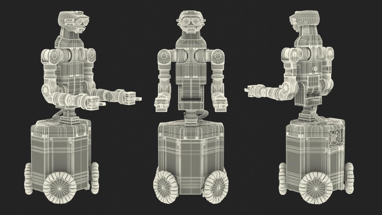 Rigged Robots Collection 11 3D