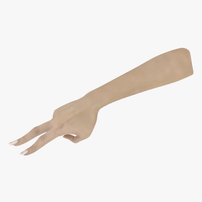 European Woman Hand Victory Sign Pose 3D