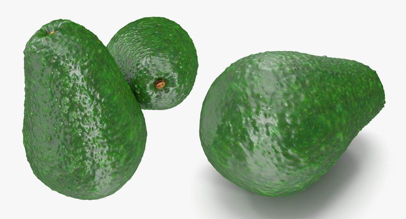 3D model Avocado Collection 2