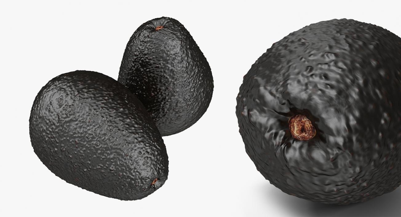 3D model Avocado Collection 2