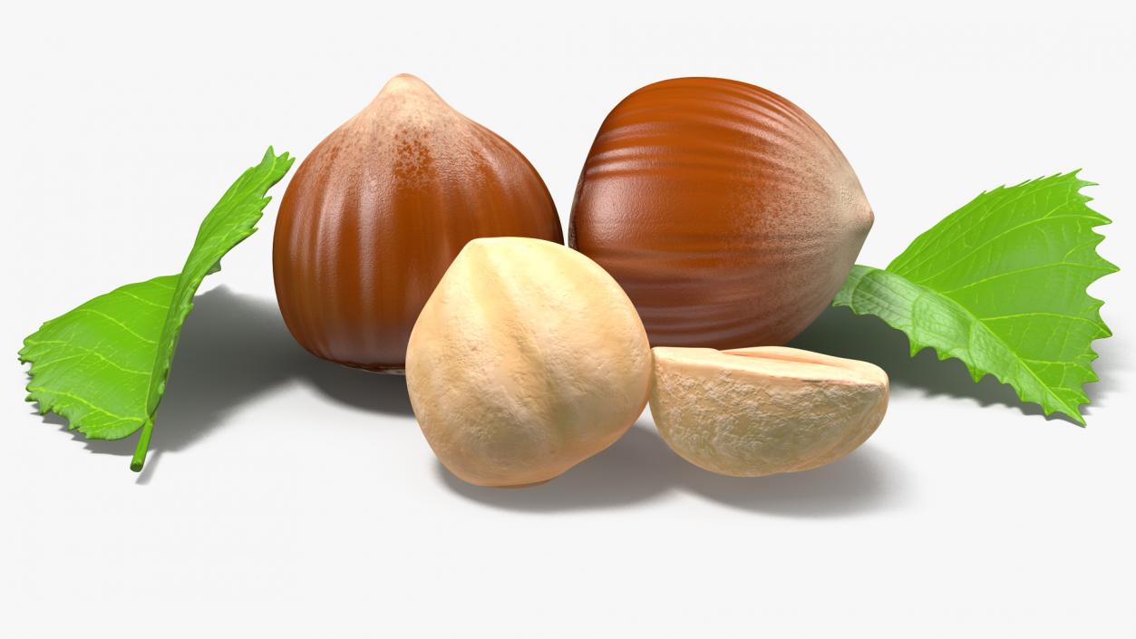 Nuts Collection 4 3D