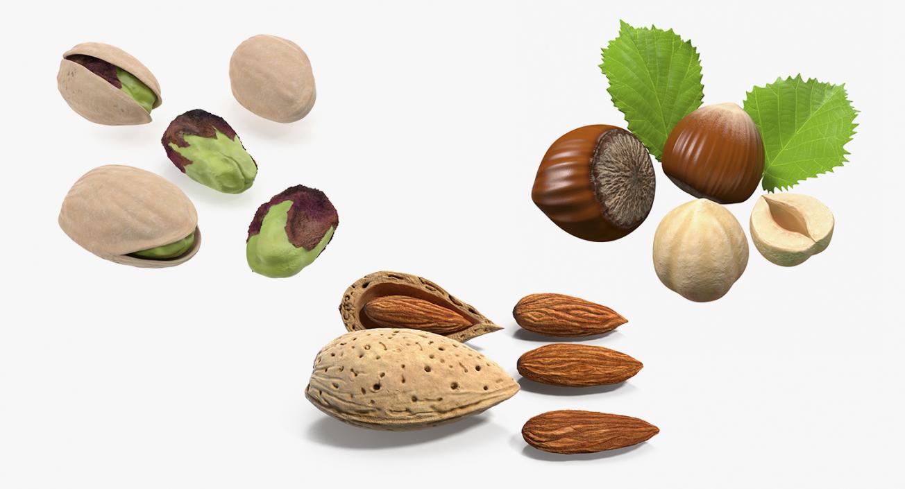 Nuts Collection 4 3D