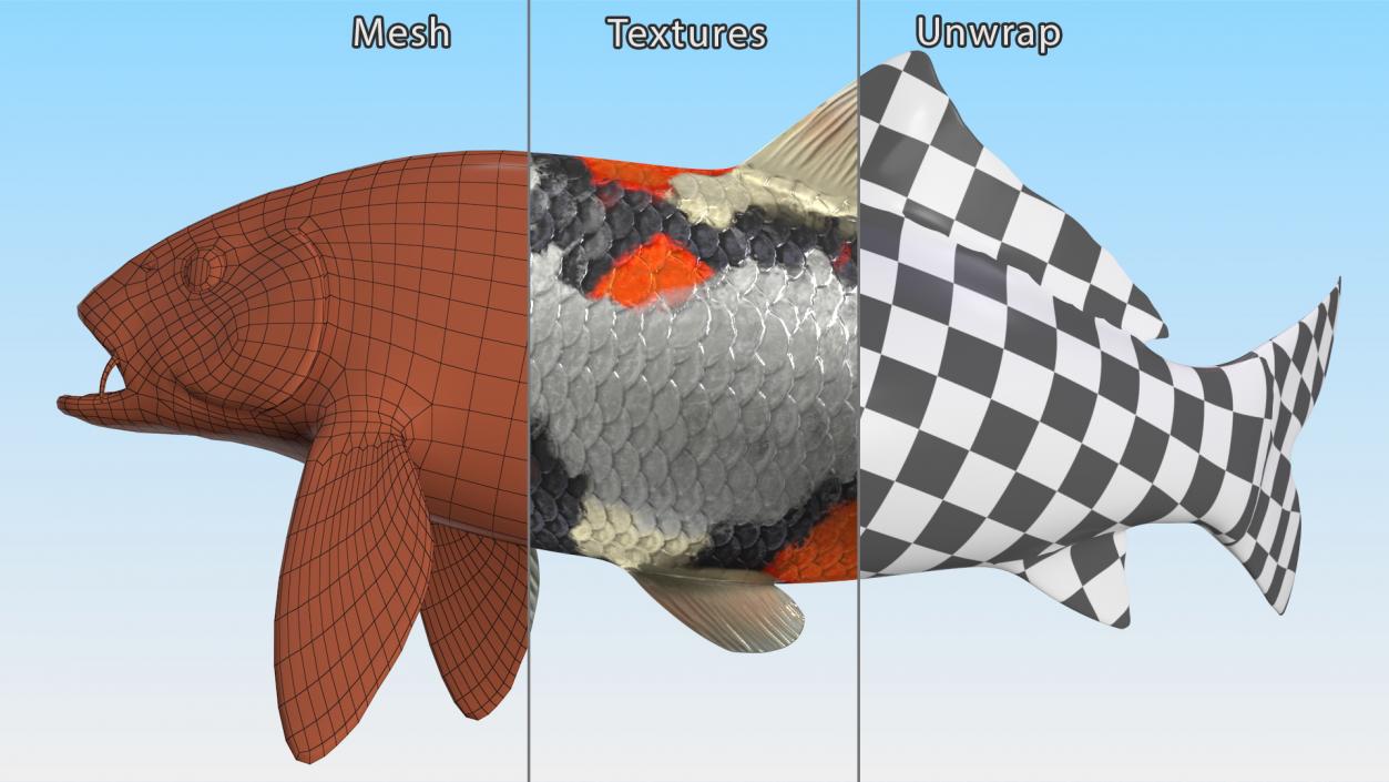 Harivake Koi Fish in Floating Pose 3D model