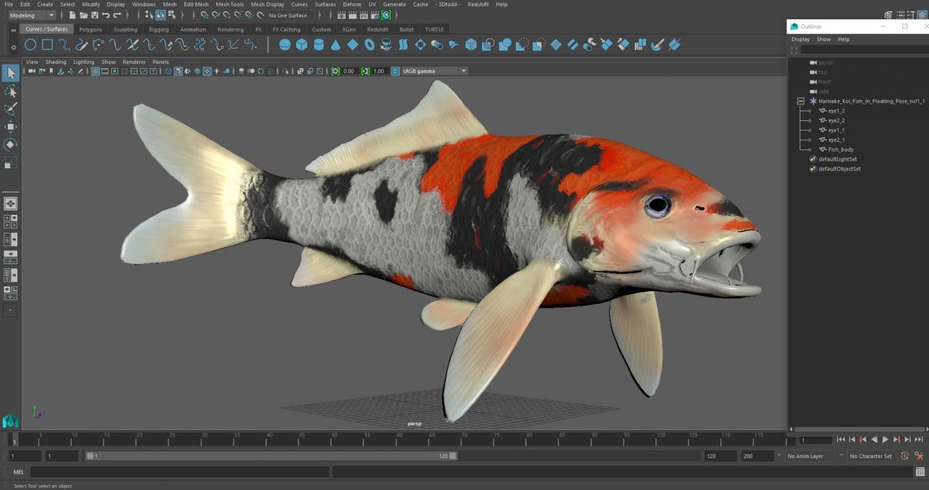 Harivake Koi Fish in Floating Pose 3D model