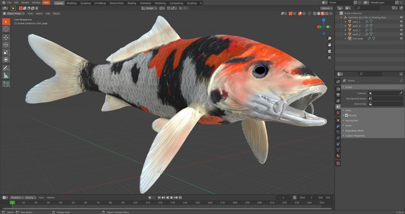 Harivake Koi Fish in Floating Pose 3D model