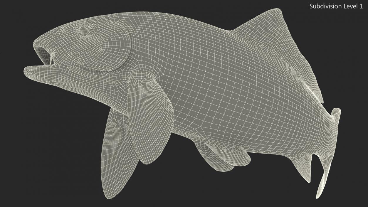 Harivake Koi Fish in Floating Pose 3D model