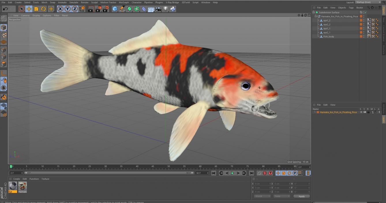 Harivake Koi Fish in Floating Pose 3D model