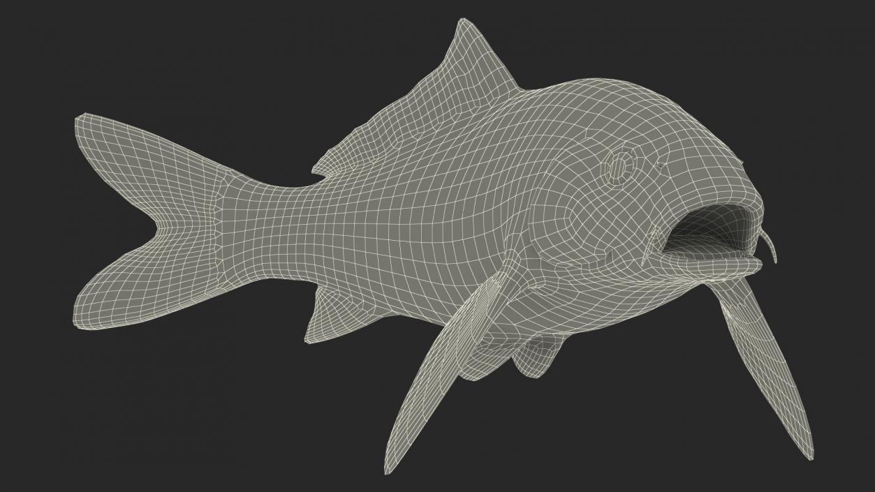 Harivake Koi Fish in Floating Pose 3D model