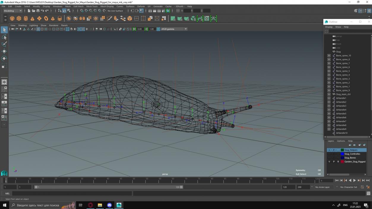 Garden Slug Rigged for Maya 3D