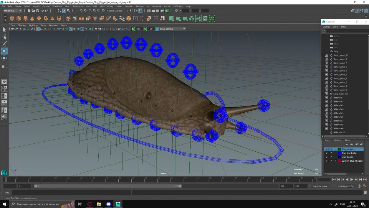 Garden Slug Rigged for Maya 3D