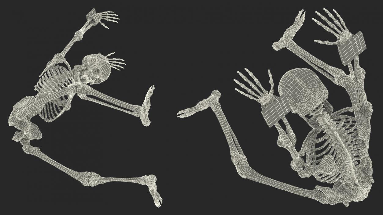 3D Human Male Skeleton Shackled model