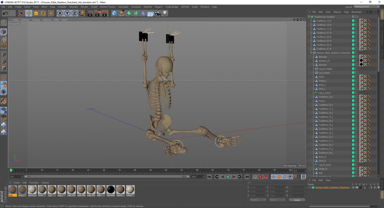 3D Human Male Skeleton Shackled model