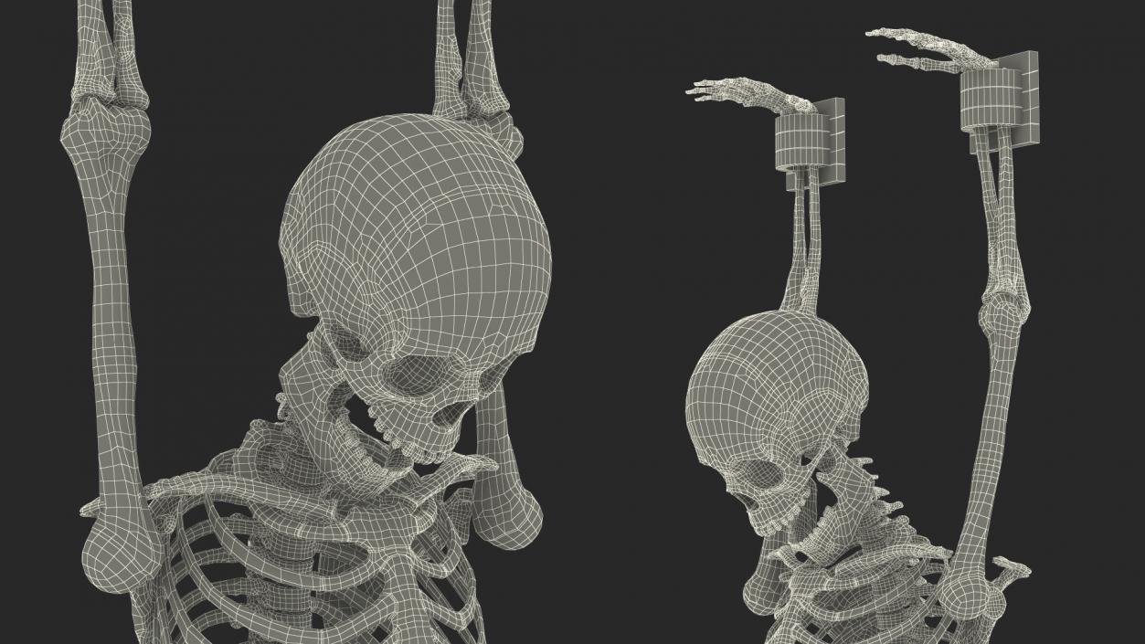 3D Human Male Skeleton Shackled model