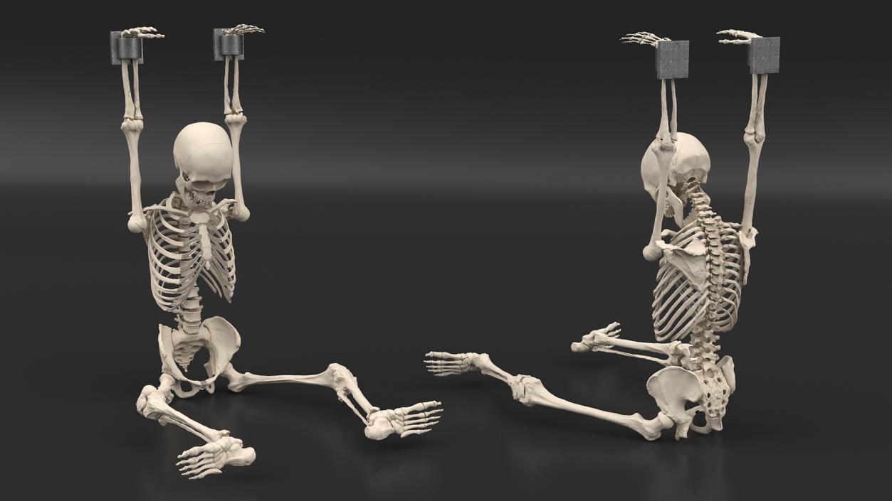 3D Human Male Skeleton Shackled model