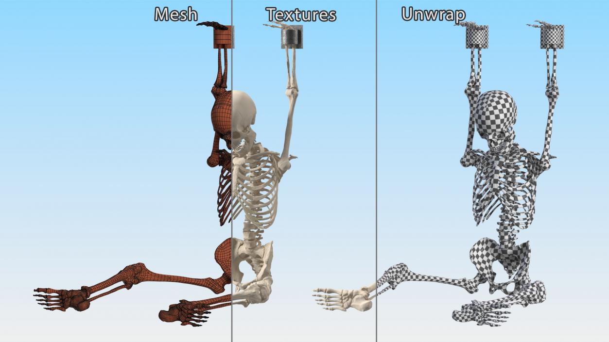 3D Human Male Skeleton Shackled model