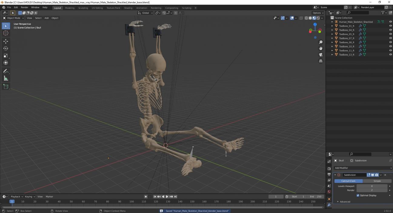 3D Human Male Skeleton Shackled model