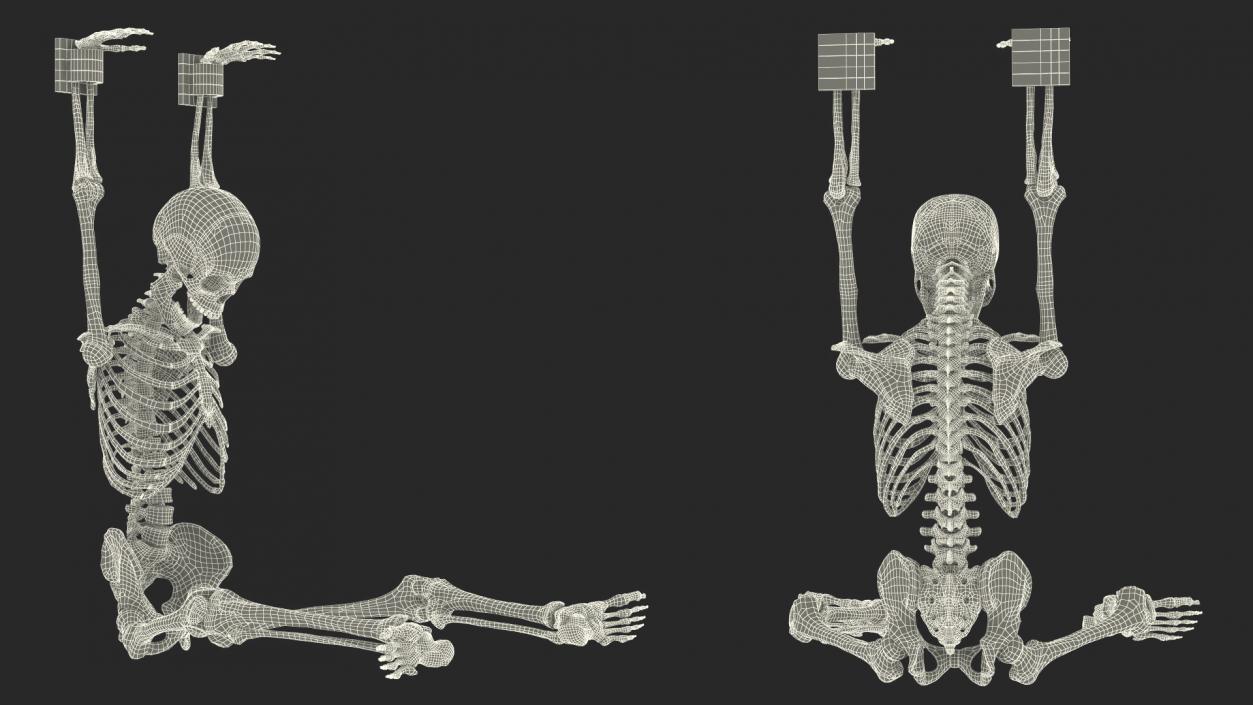 3D Human Male Skeleton Shackled model