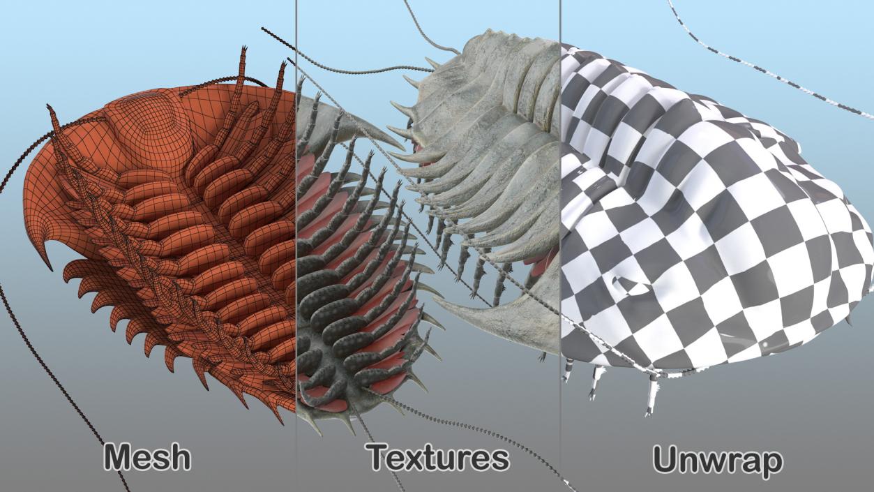 3D model Trilobite Fur Rigged