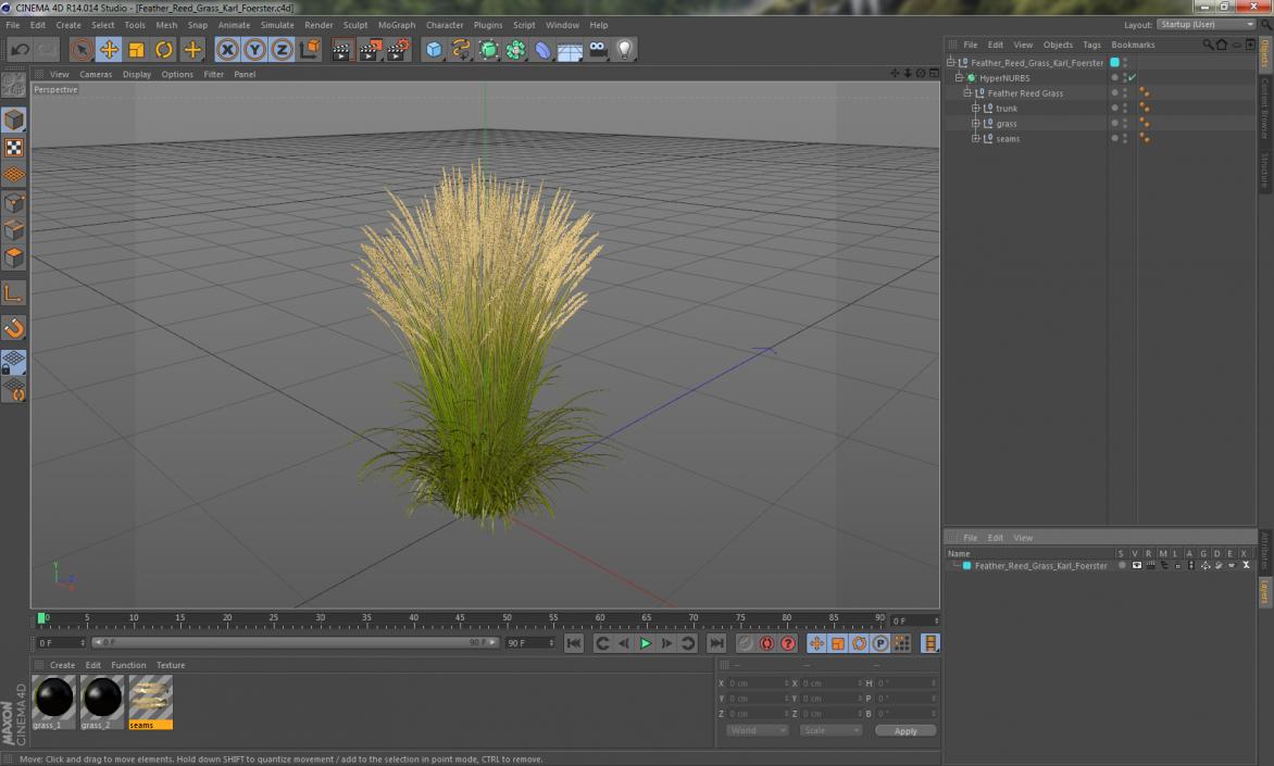 Feather Reed Grass Karl Foerster 3D