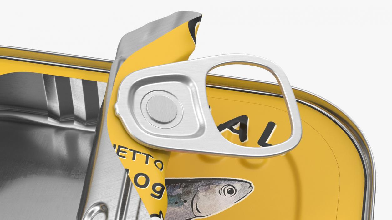 Half Open Empty Rectangular Sardine Can 3D model