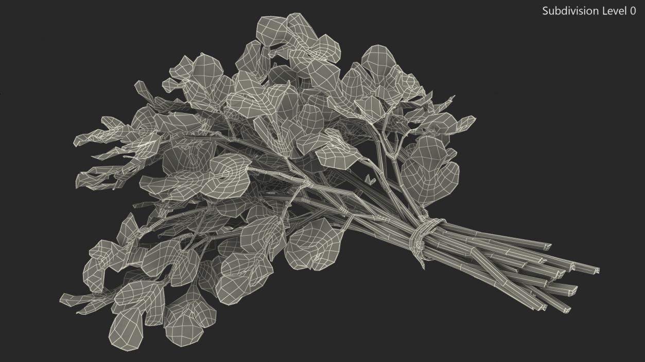 3D Cilantro Bunch With Rope Fur model