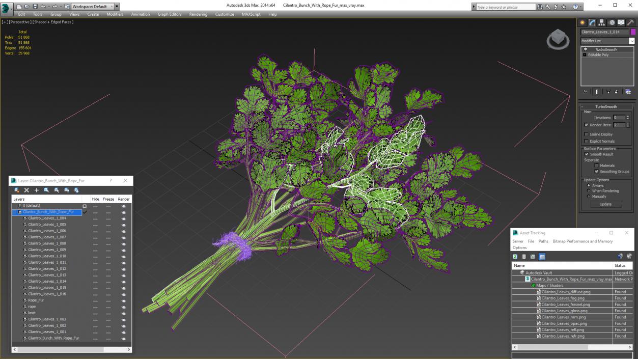 3D Cilantro Bunch With Rope Fur model