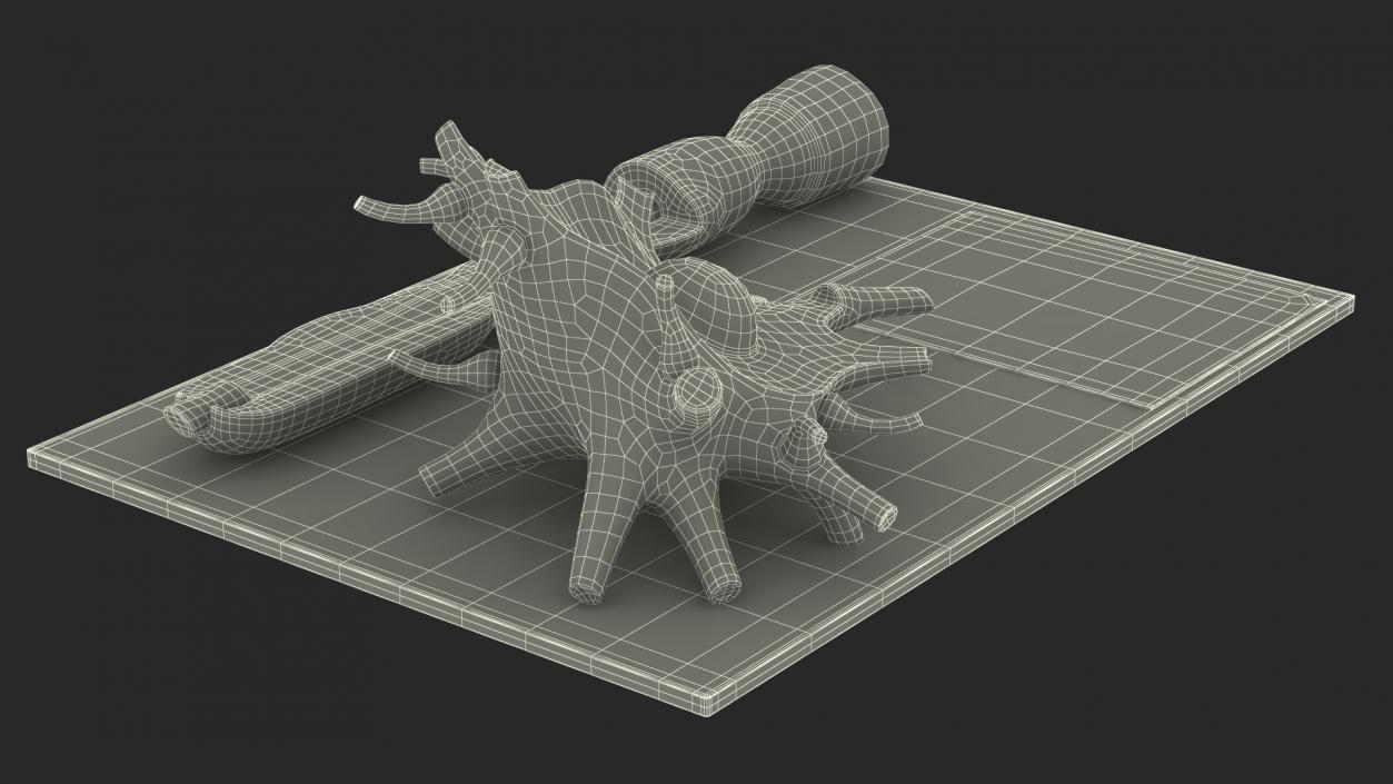 3D Human Neuron Model Cross-Section on Stand