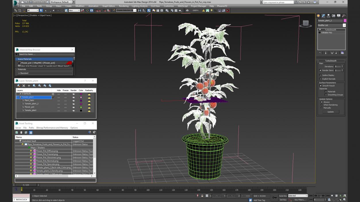 Ripe Tomatoes Fruits and Flowers in Pot 3D model