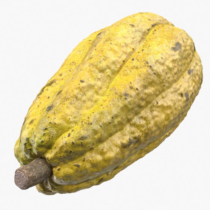 3D Yellow Cocoa Fruit model