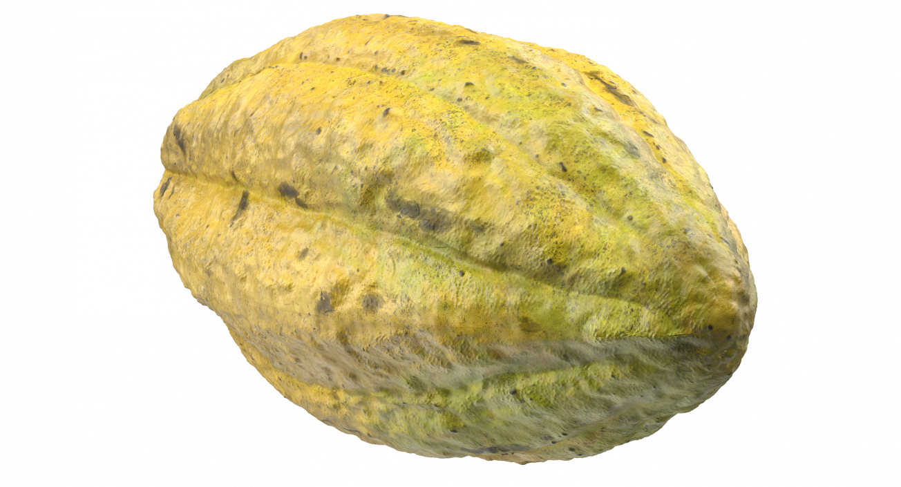 3D Yellow Cocoa Fruit model