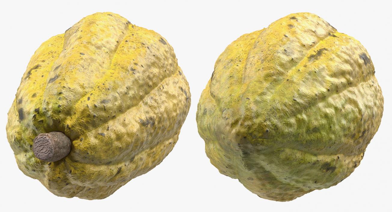 3D Yellow Cocoa Fruit model