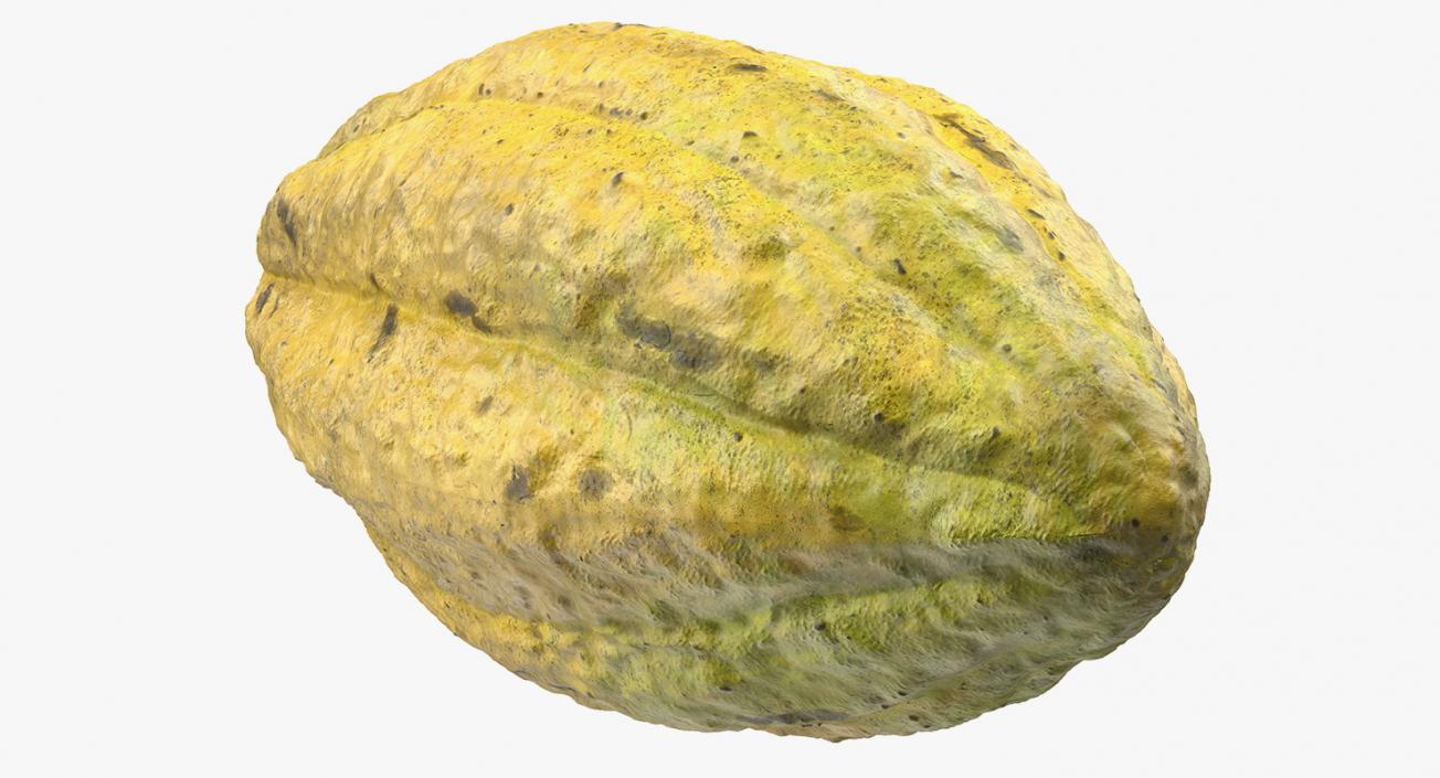 3D Yellow Cocoa Fruit model