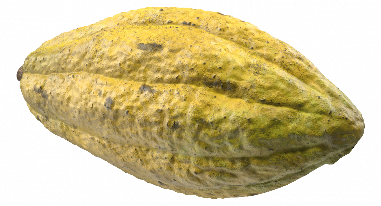 3D Yellow Cocoa Fruit model