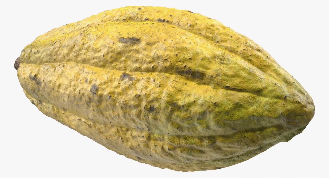 3D Yellow Cocoa Fruit model