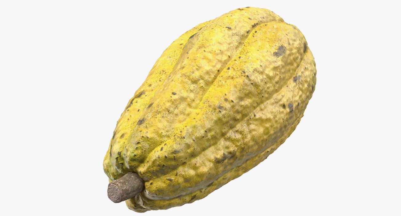 3D Yellow Cocoa Fruit model