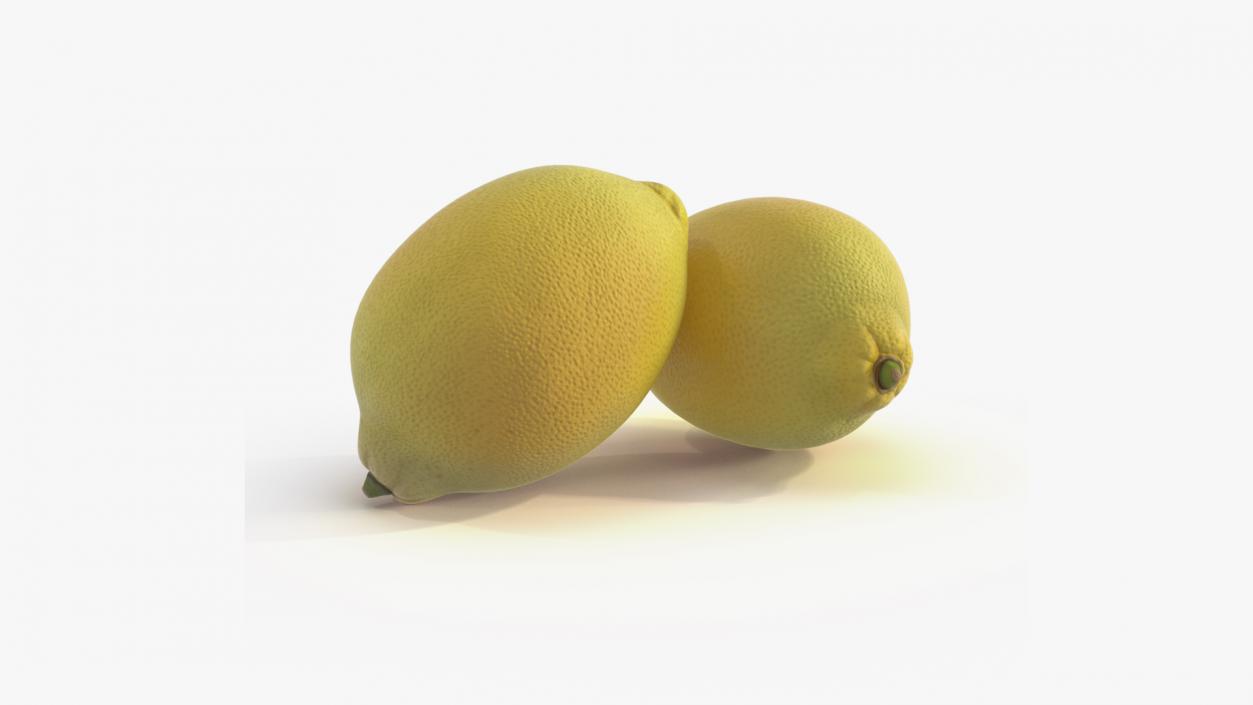 3D model Realistic Lemon