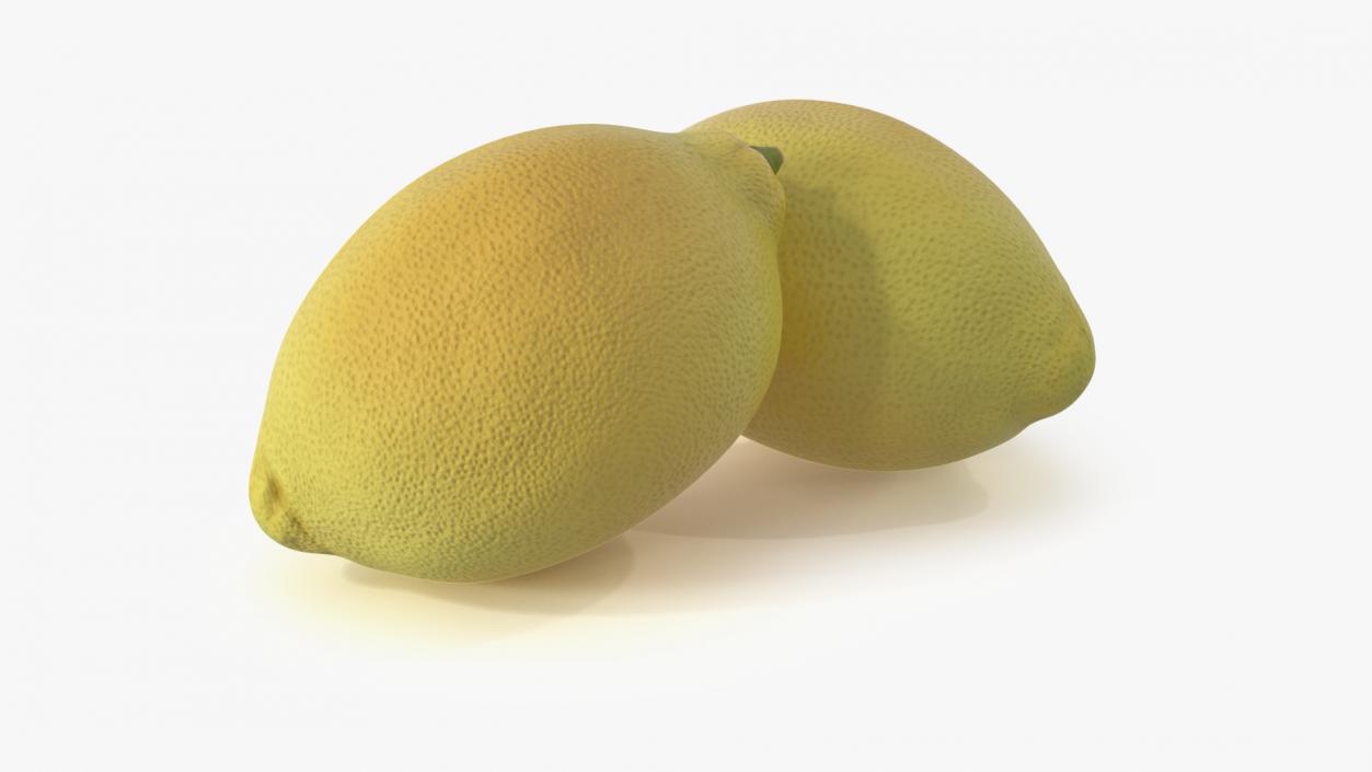 3D model Realistic Lemon