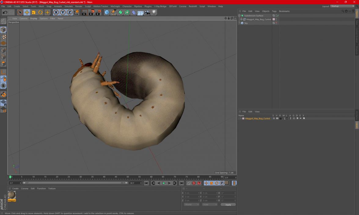 3D Maggot May Bug Curled