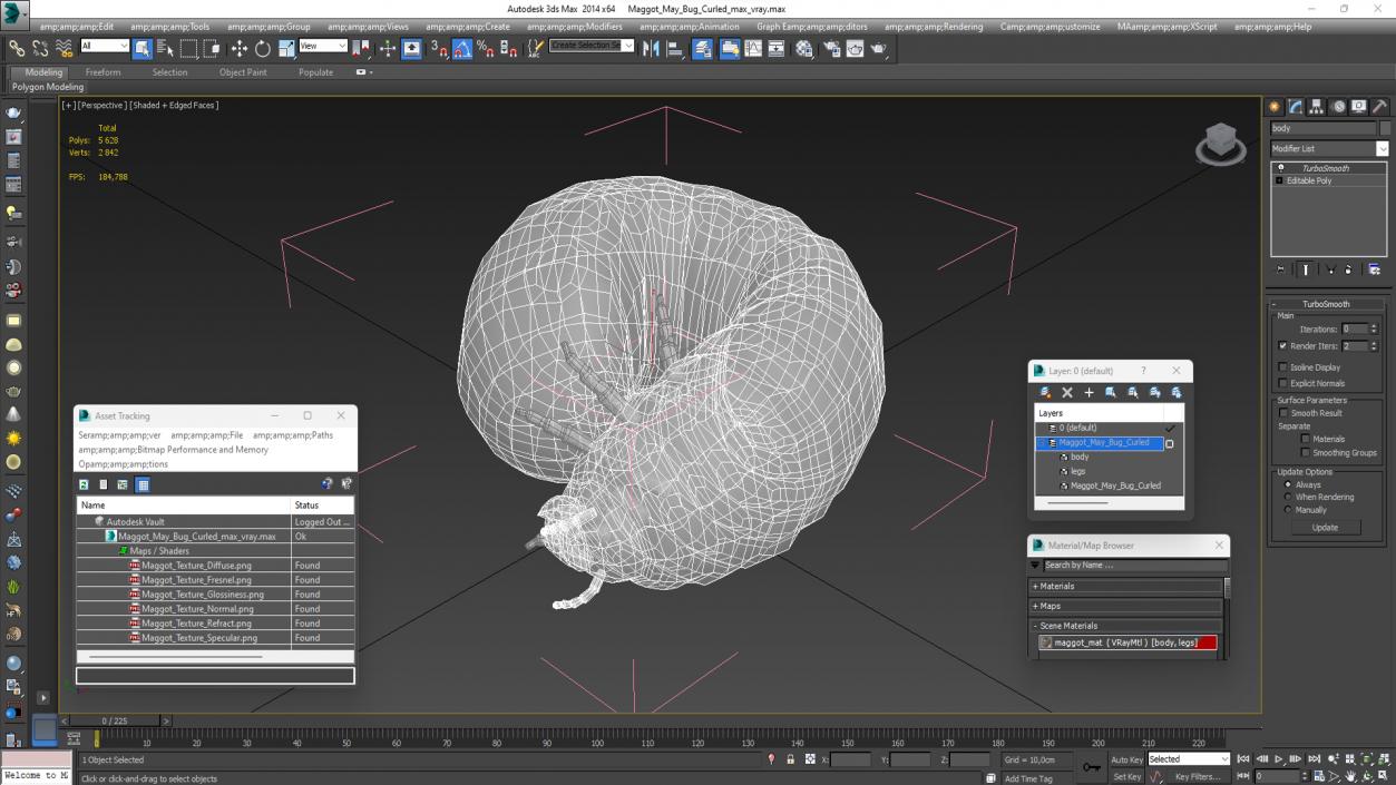 3D Maggot May Bug Curled