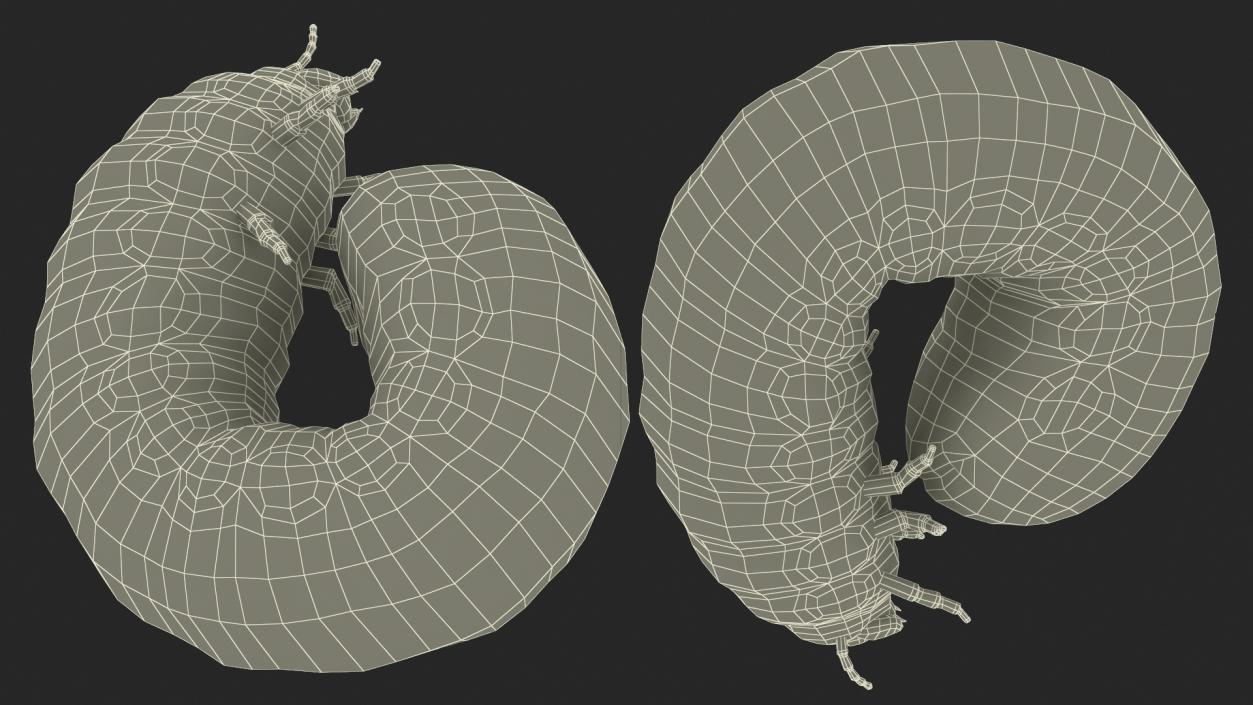 3D Maggot May Bug Curled