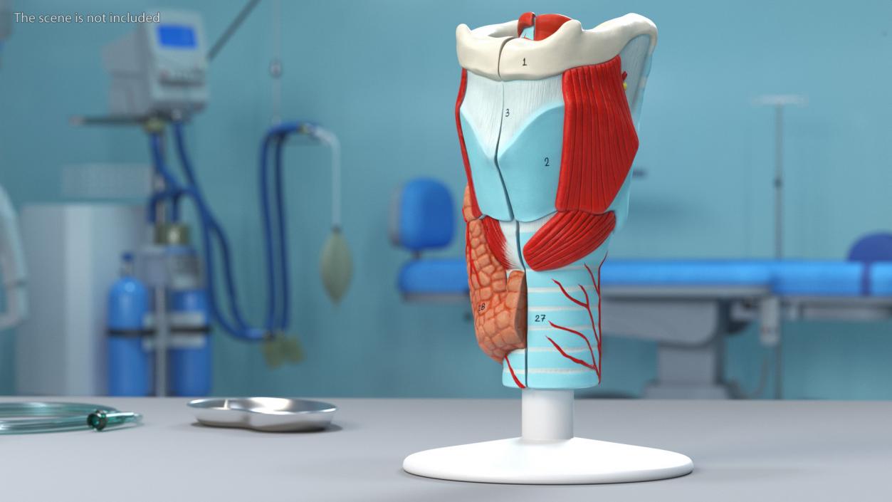 Medical Models Collection 2 3D