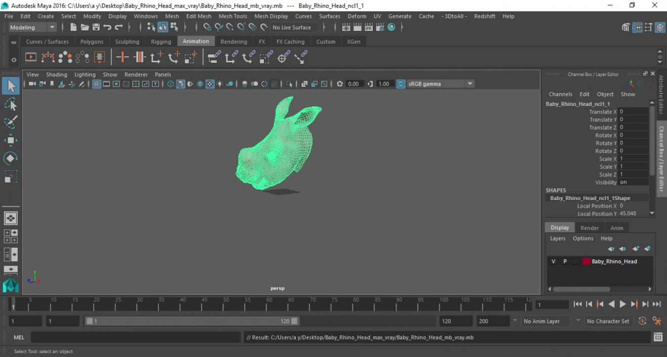 3D model Baby Rhino Head