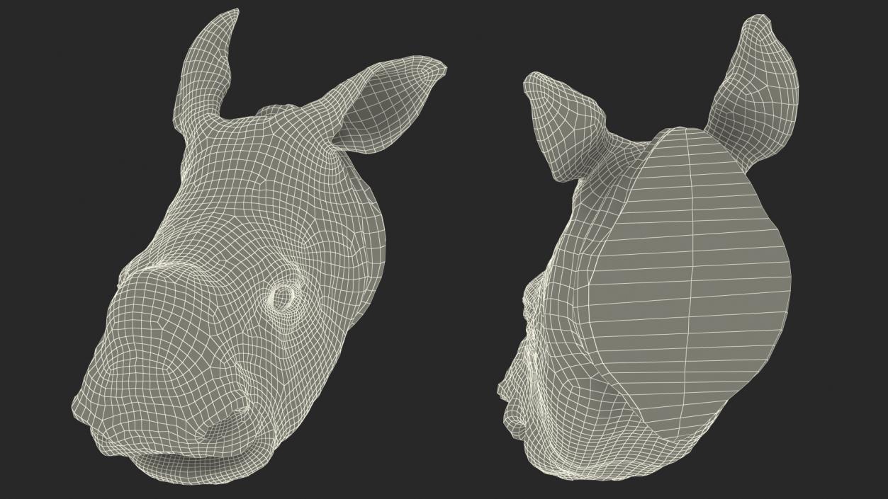 3D model Baby Rhino Head