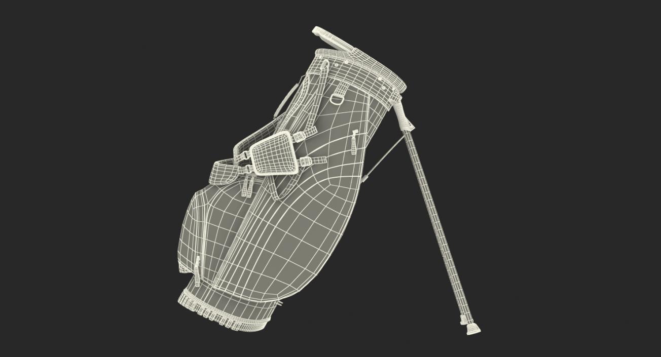 3D model Golf Bag 2