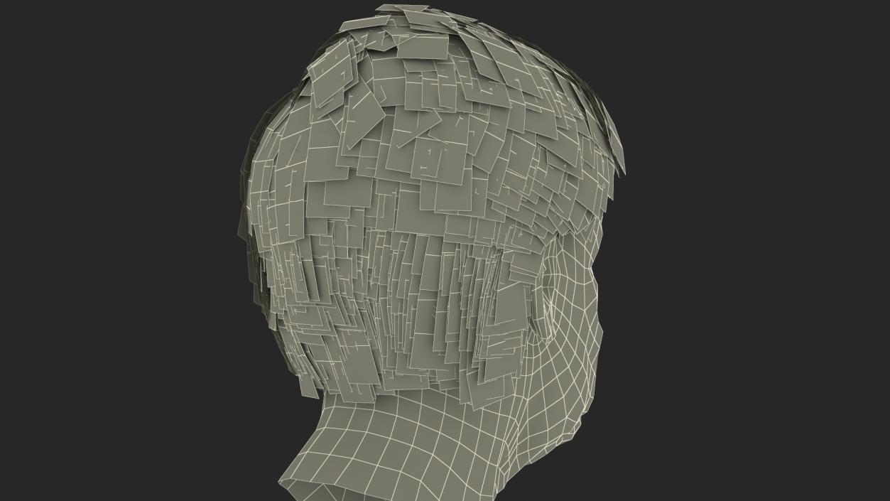 Older Womens Head 3D