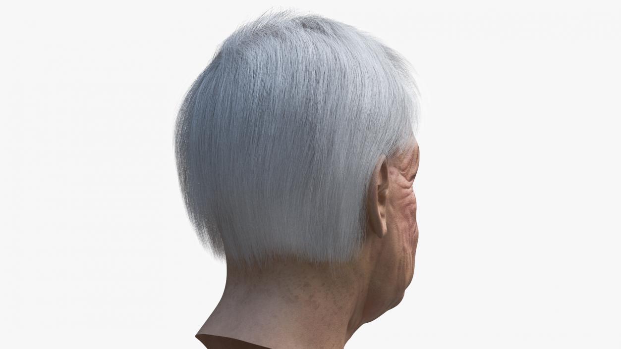 Older Womens Head 3D