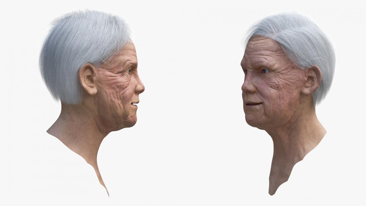 Older Womens Head 3D