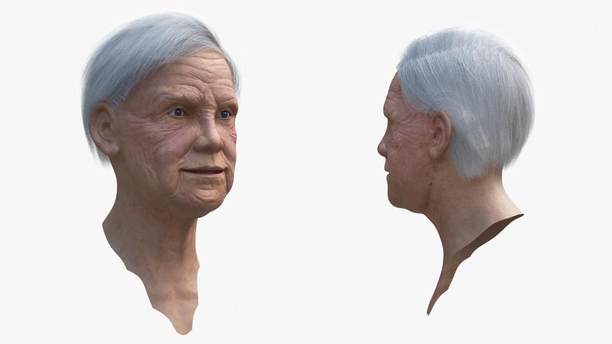 Older Womens Head 3D