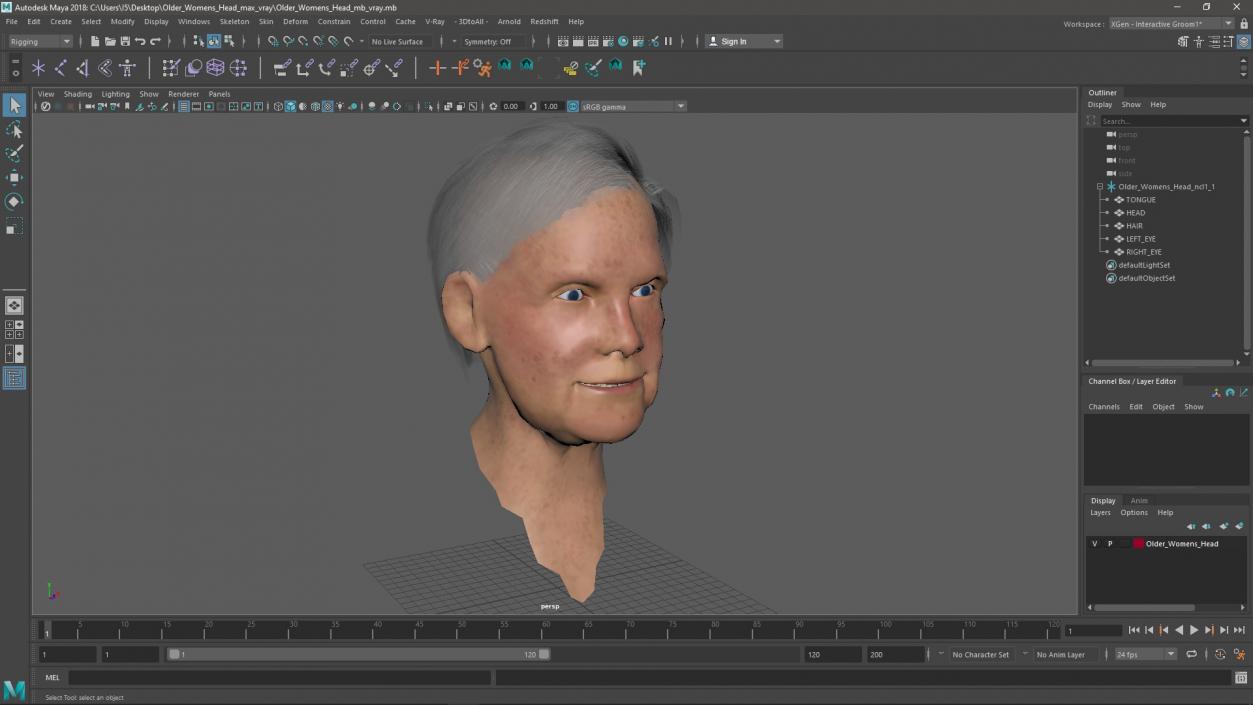 Older Womens Head 3D