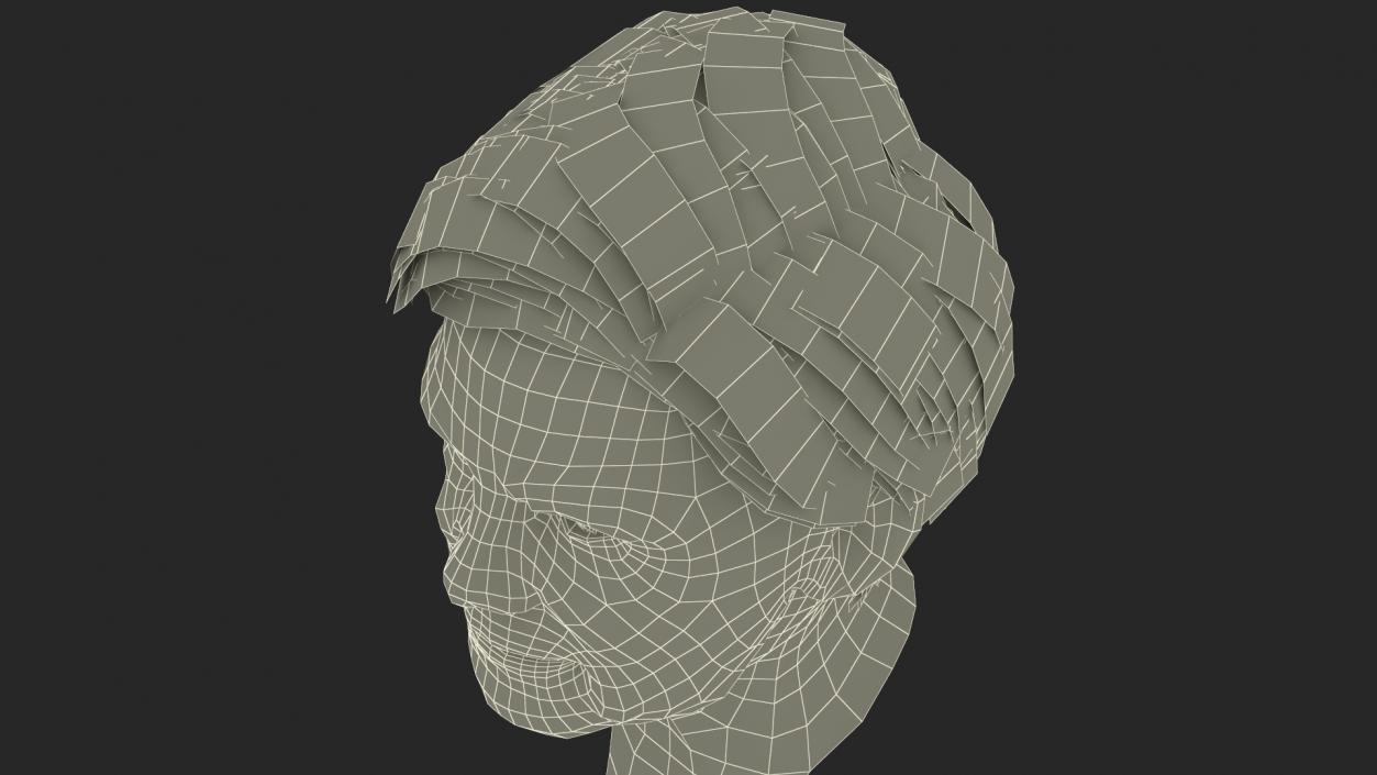 Older Womens Head 3D